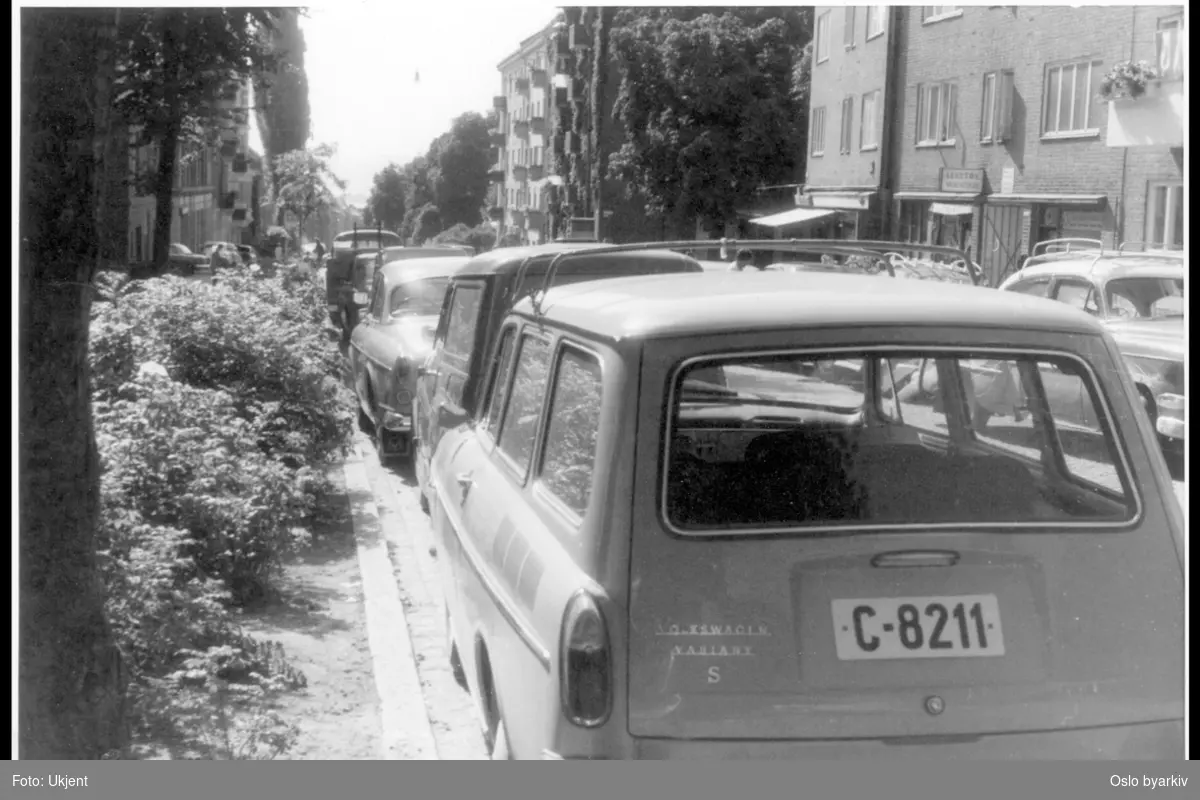 Busk-beplantning langs brosteinskant. Parkerte biler. Leketøysbutikk. (Samme gata som på bilde A-20145 / Uag / 0005 / 001.) Sannsynlig fra 1960-tallet.