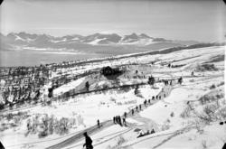 Mot Skihytta fra gamlehoppet. Hovedlandsrennet 1935, 30 km.