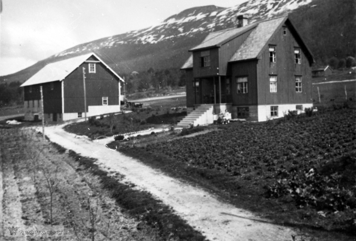 Bureisningsbruket Skogtun 4 - 5 år etter starten i 1935. På nersiden av gardsvegen er det nett rydda nybrott og det skal settes poteter.