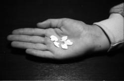 Porting med "kvann". Kvann ble brukt i flere slag barneleike