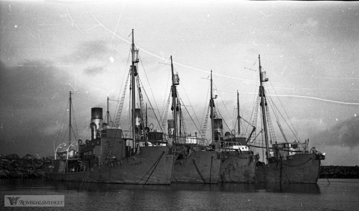 "Filmer er merket 1943 med da var alle båter i "Tysk eie". under krigen hadde de også bare 3 kvalbåter. Rebeiko? solgt i 1938".f.v M.19.SØ "Toril", M.25.SØ "Ingeborg", "Chr.Ribero", M.85.SØ "Torgny". .Vi ser her de 4 kvalbåtene som br. Sæbjørnsen eide mot slutten av 1930-årene..(Filmbeholder datert juli 1943)