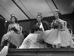 Roseprinsessa og hennes to terner.