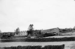 Nr 85 Svensli. .(Bilder brukt i "Gards- og ættesoge for Ness