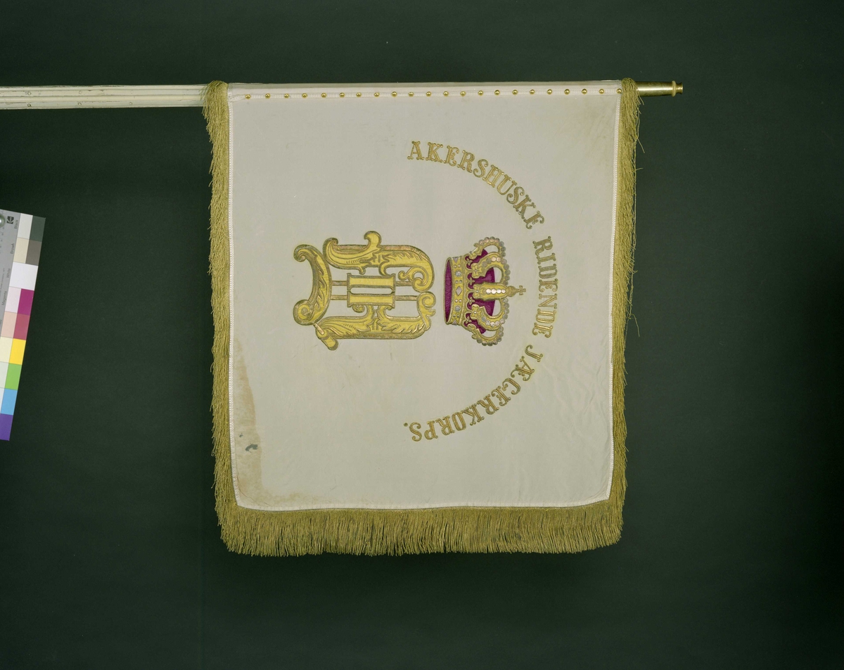 Beskrivelse : Standart av hvit silke med gullfrynser . Midt på kronet O II ,
Innskripsjon : Akershusiske Ridende Jægerkorps .
Gave til korpset fra Oscar II 1878 .