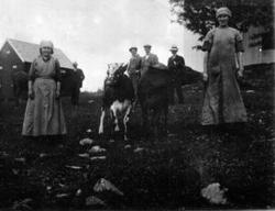 To budeier og fire menn med kalver utenfor uthus.