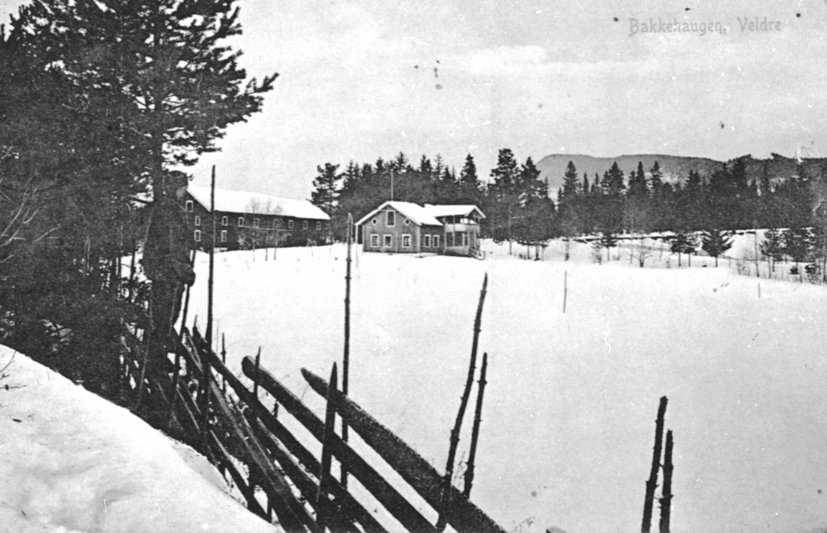 Bakkehaugen gård, Veldre, Ringsaker. Skigard, vinter.