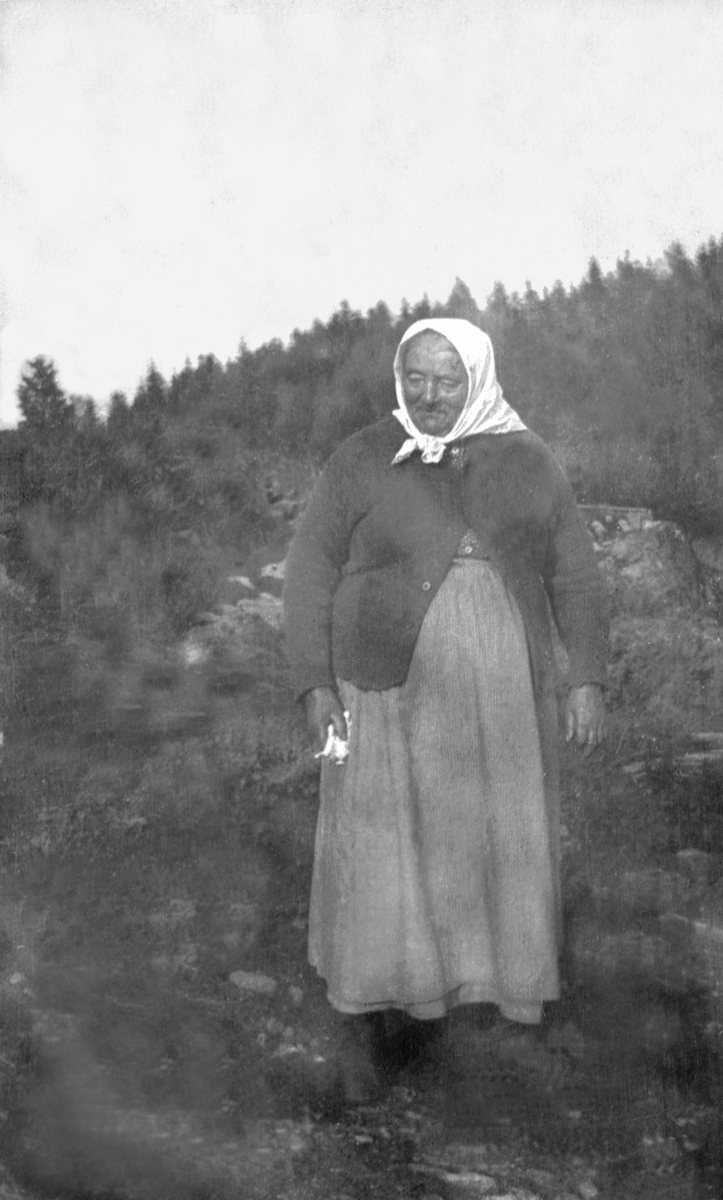 Portrett av Berte Andersdatter Flågen (1849-1933) med strikkejakke. Bjørnstad, Nes, Hedmark.