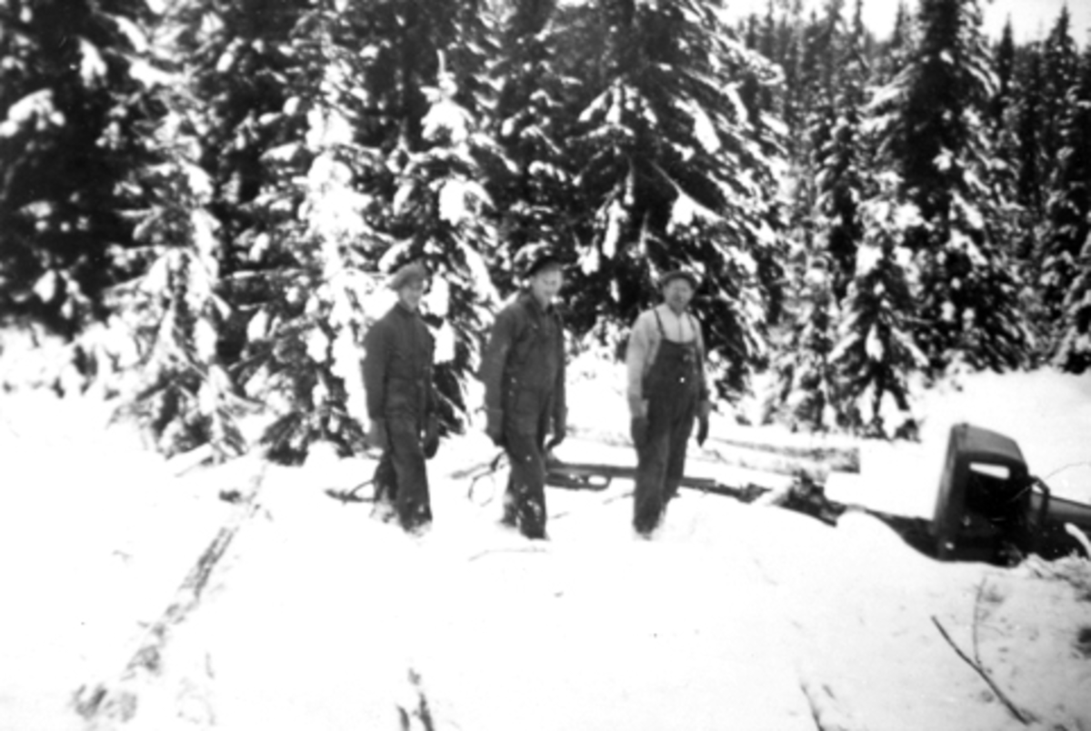 Gruppe skogsarbeidere i Furnes Almenning. Fra venstre er Asbjørn Rønningen, Ole Røset, Magne Solheim.