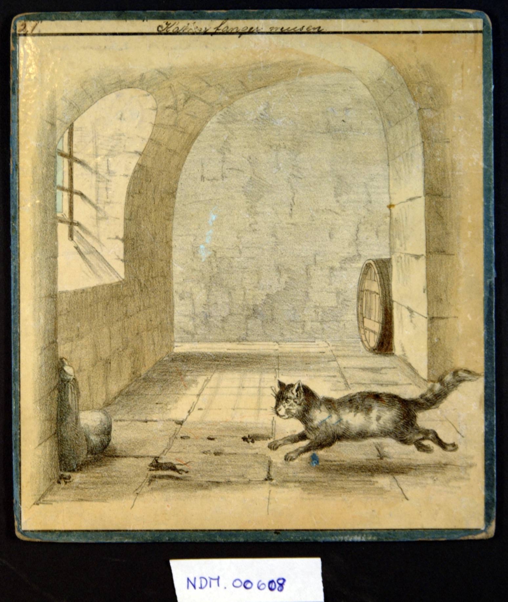 Katt løper etter mus i en hvelvet kjeller, med tykke vegger, vindu med gitter, en tønne.