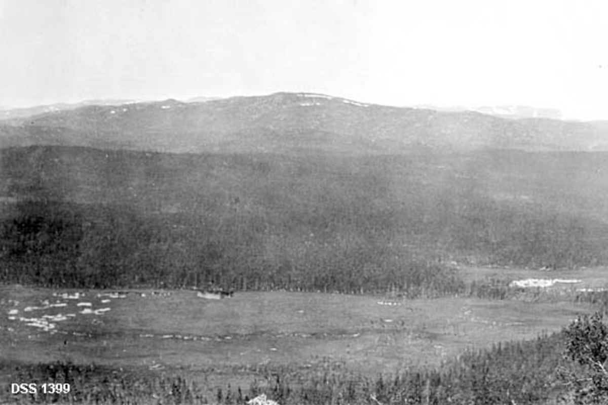 Venstre del av panoramaopptak fra Sandåmofjellet nord- og vestover mot Namsendalføret.  Fotografiet er tatt fra et berg over et myrlandskap omgitt av tett barskog.  I bakgrunnen en fjellrygg med snøflekker. 