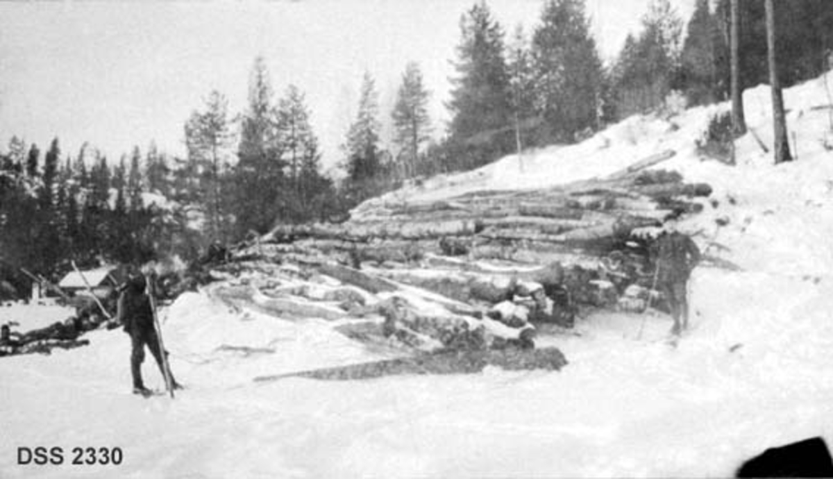 Lauvskoglunne på Nordre Hanseid i Drangedal.  Snødekt skråning der det er lagt en del ubarket, lauvtrevirke i ei lunne.  To skiløpere ved tømmeret.  Furuskog i bakgrunnen, hus i bakgrunnen til venstre. 