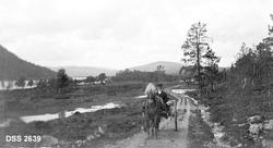 "Fra Vestre Gausdal Statsalmenning. Utsikt fra Skytterhuset 