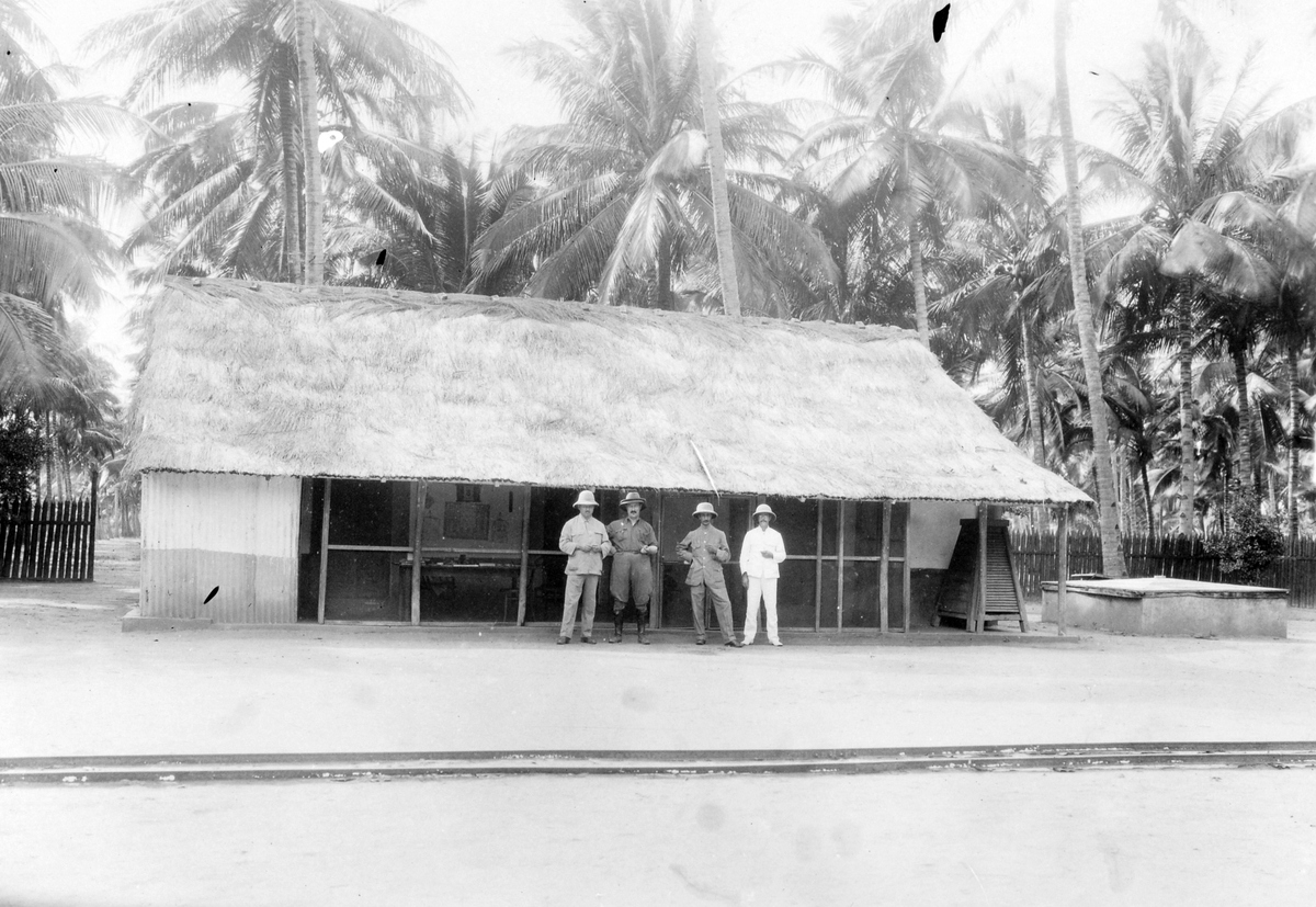 Mosambik. 1914. Fra en kokosplantasje i Quelimane-distriktet. Christian Thams står som nr. 2 fra venstre.
