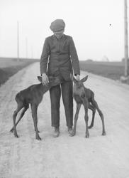 Ung mann med elgkalver på veien i Bymarka.