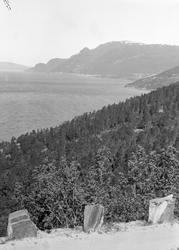 Partier langs veien ved Surnadalsfjorden