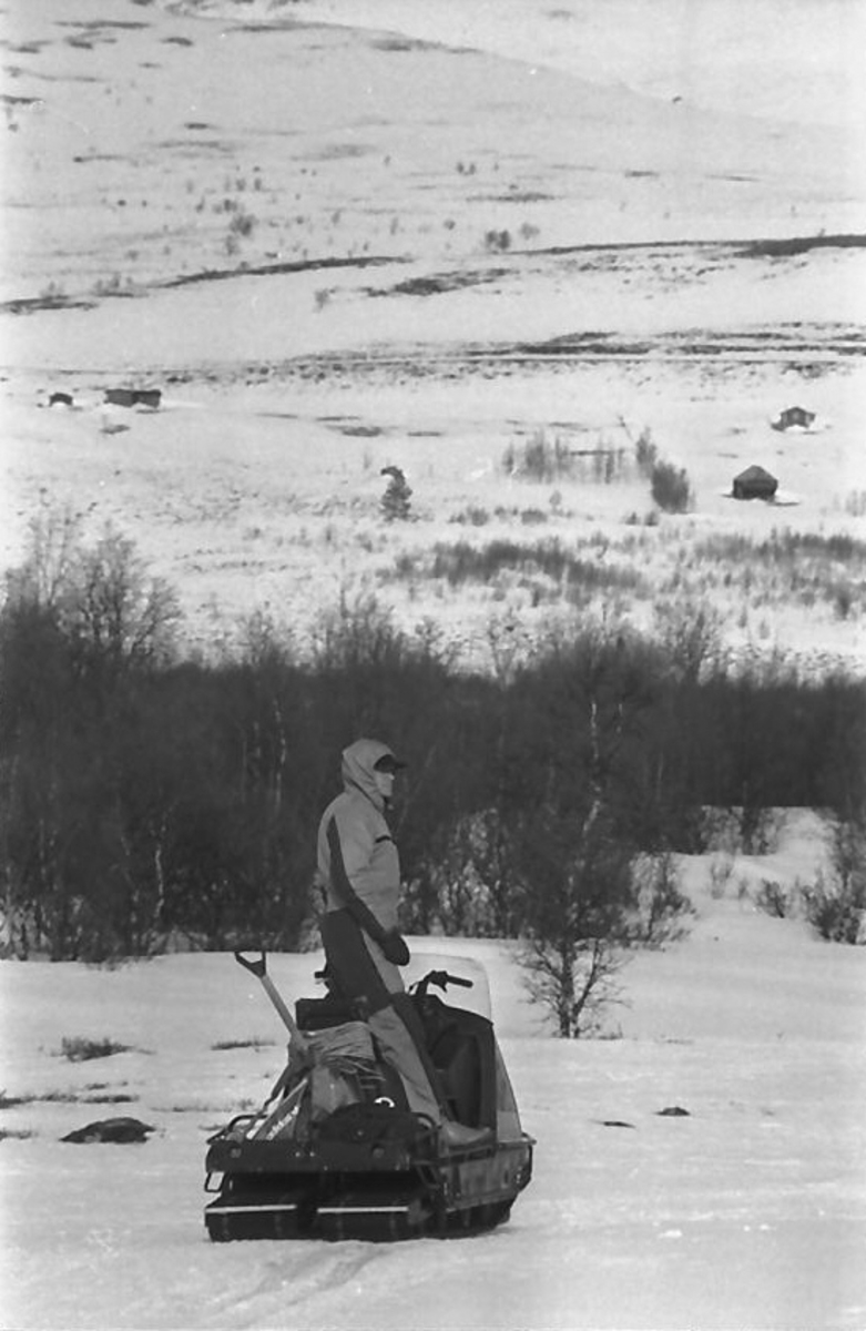 Hans Einar Thompson kjører snøscooter inn til Markbulia, Folldal.