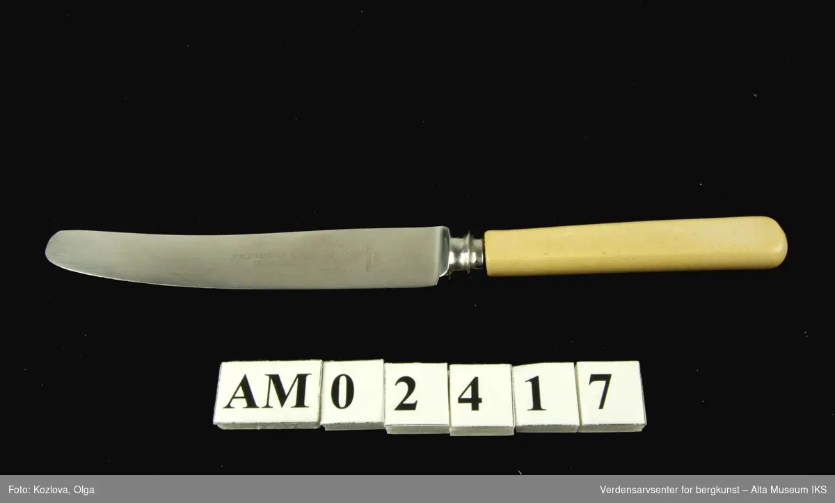 Bordkniv i rustfritt stål med plasthåndtak
