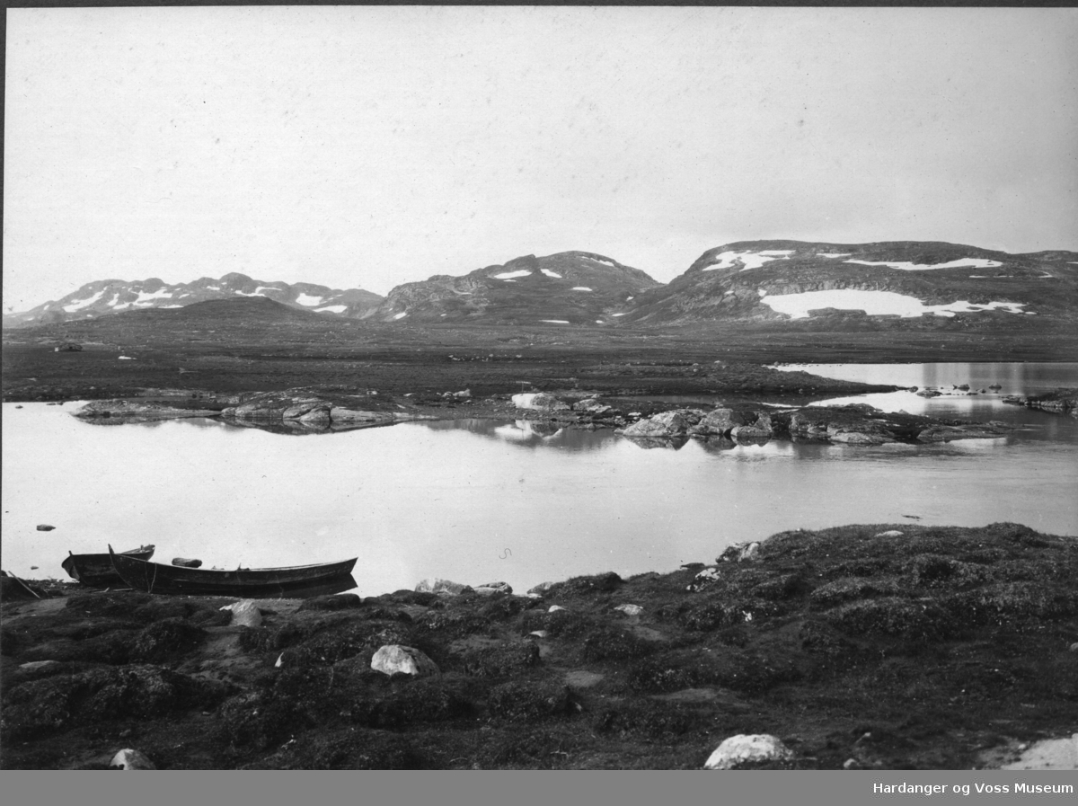 Landskapsbilete, Hardangervidda