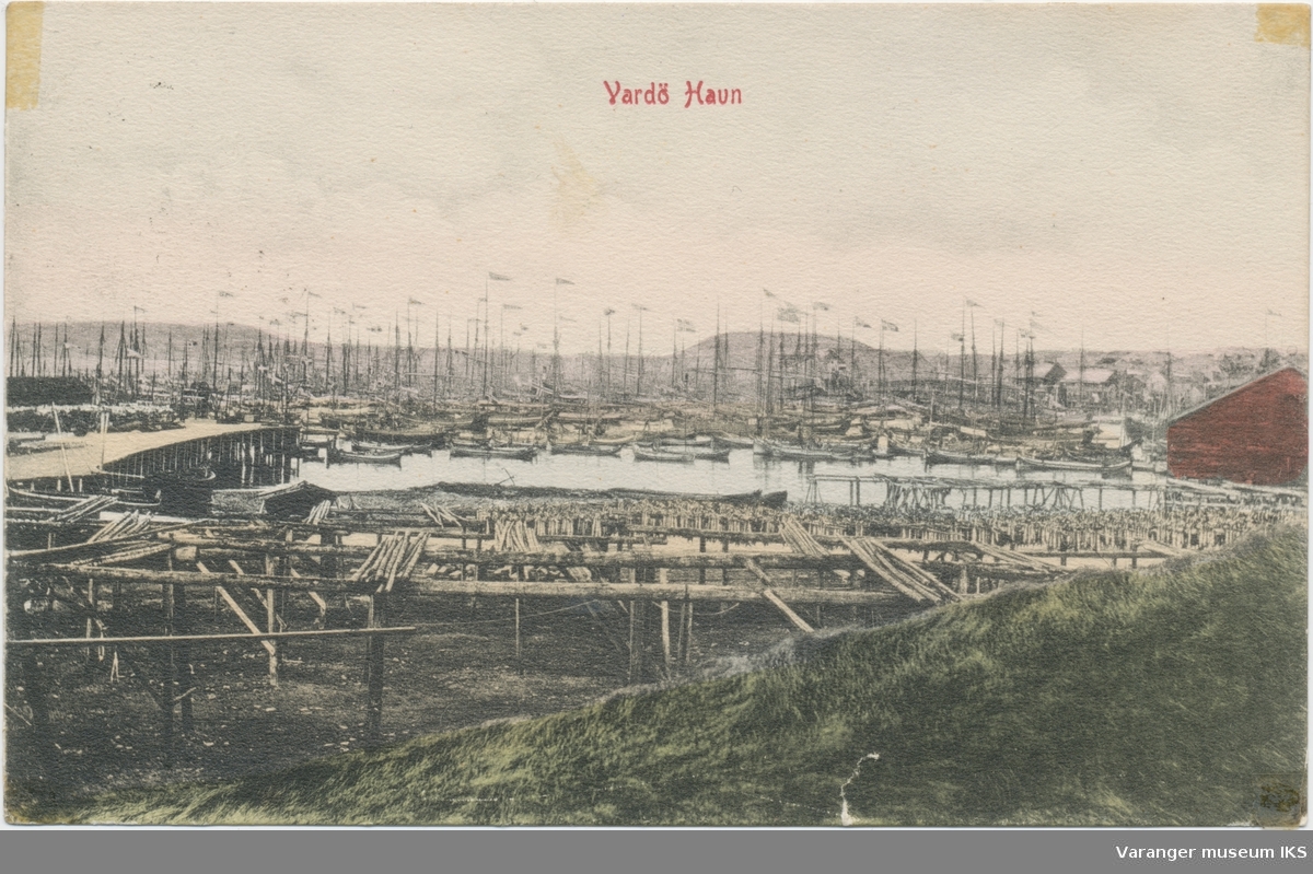 Postkort, Nordre Våg full av båter, fiskehjeller i forgrunnen, Reinøya og Hornøya i bakgrunnen, antatt 17. mai 1892
