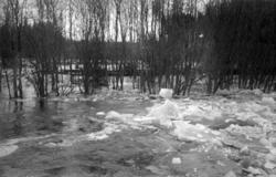 Isgang i Fura elv ved Hørsand