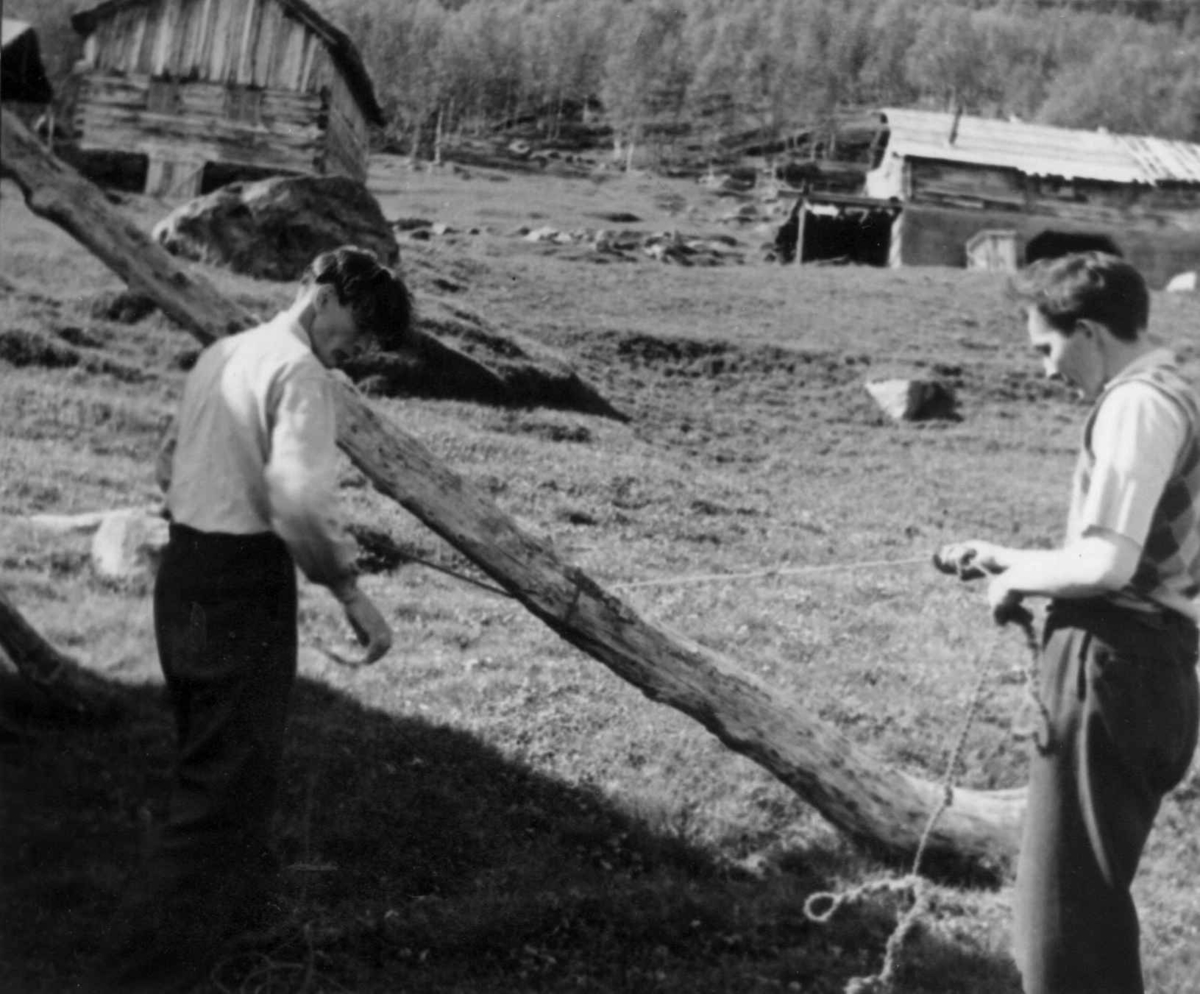 Tautvinning (6).To menn retter ut snurr i tauet. Njosken 1952.