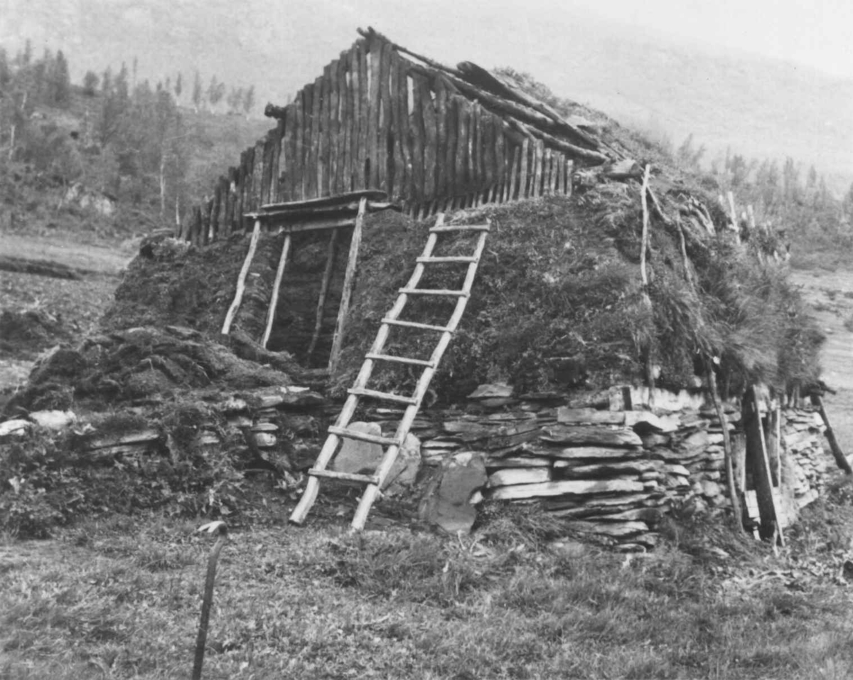 Ole og Lorentse Nilsens fjøs under nedriving. Stordalen 1948.