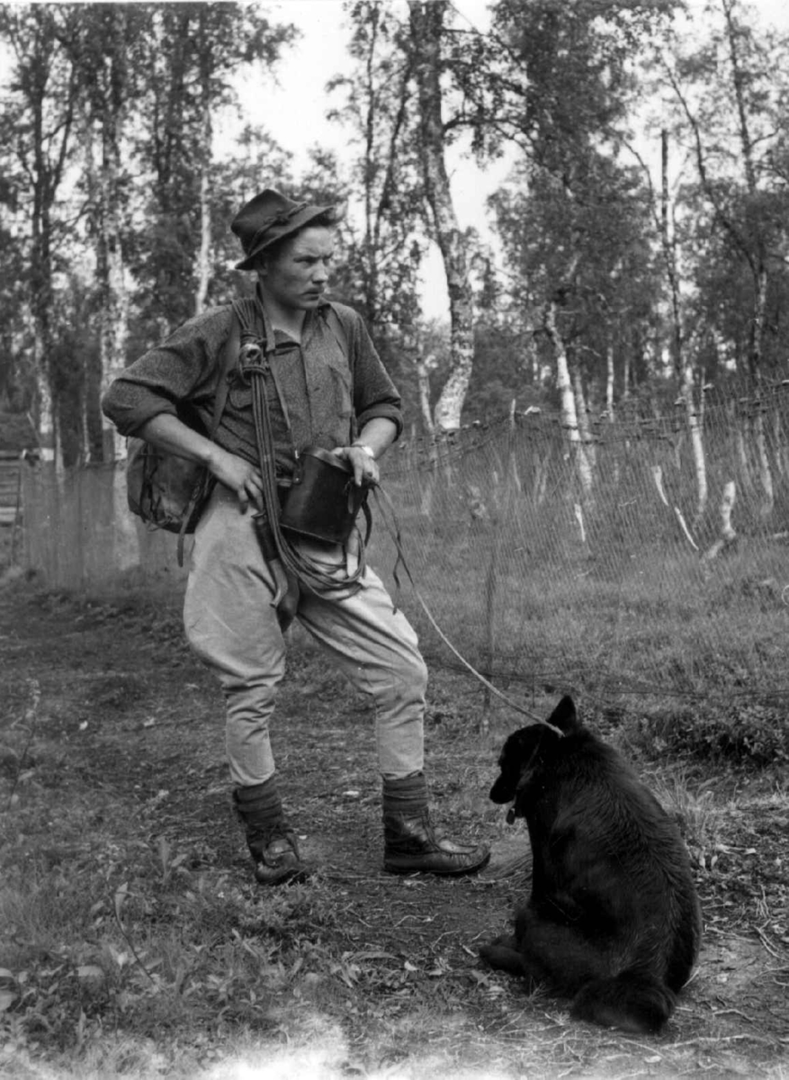 Neila Wilks i fjellutstyr og med hund. Skal til fjells og lete opp rein. Namsvatn 1956.