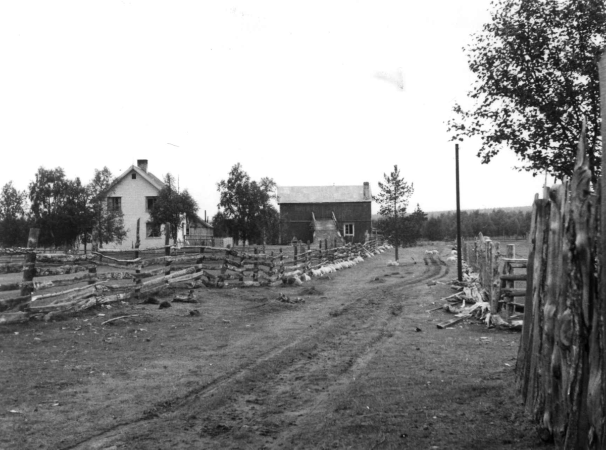 Moderne gård i Dorvonjag, 1959.