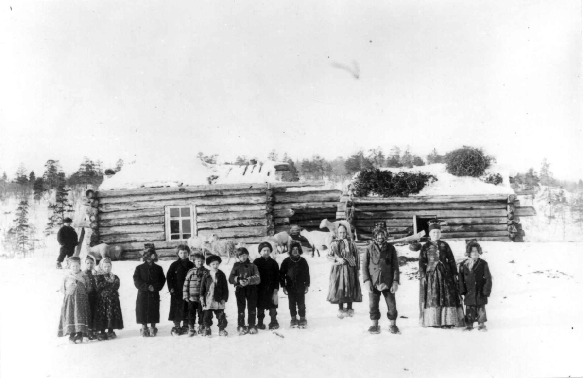 Skoltesamer utenfor laftet bygning i Boris Gleb, Russland, før 1900. Husdyr ved huset.