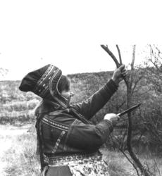 Samisk kvinne, Marit Anne Turi, kapper vidjekvister  med kni