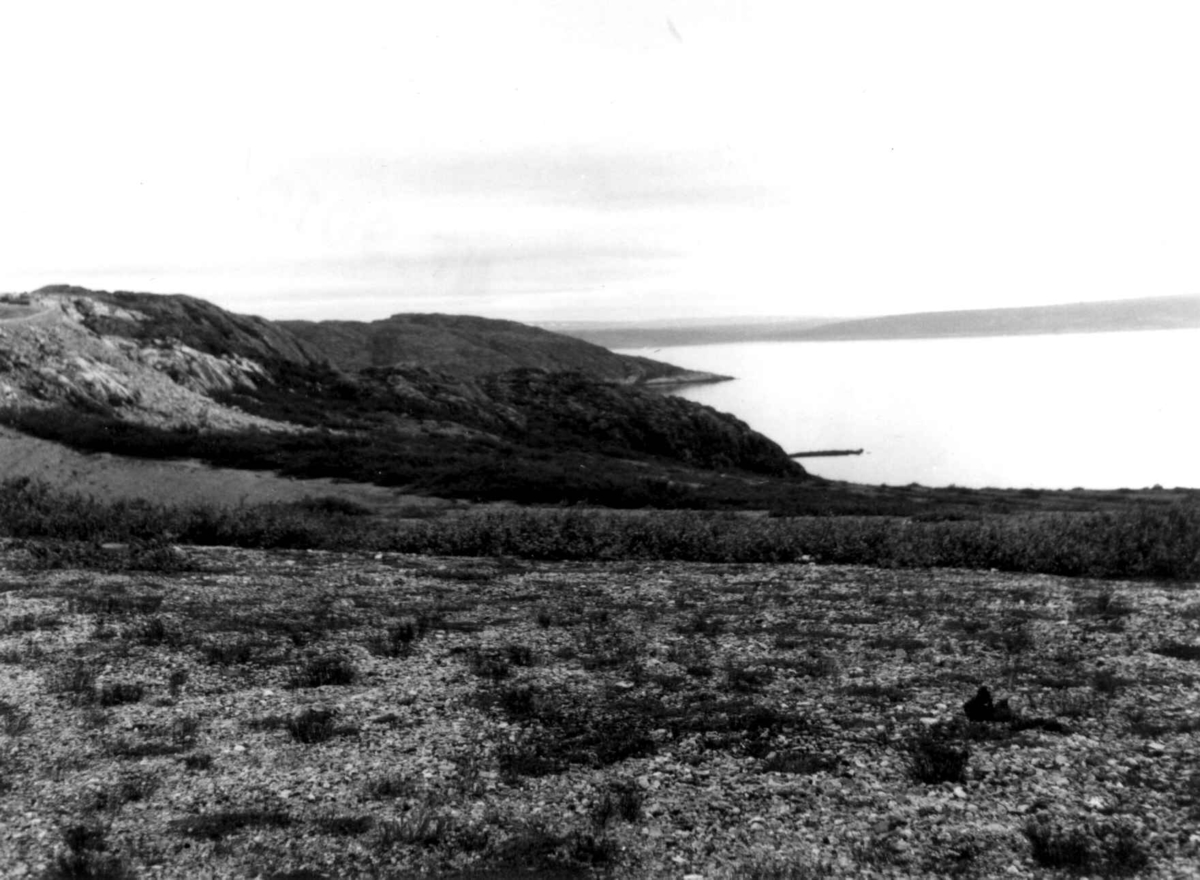 Parti utenfor Gandvik, innover Varangerfjorden. Det fremstikkende neset er Gandviknes. 1968.