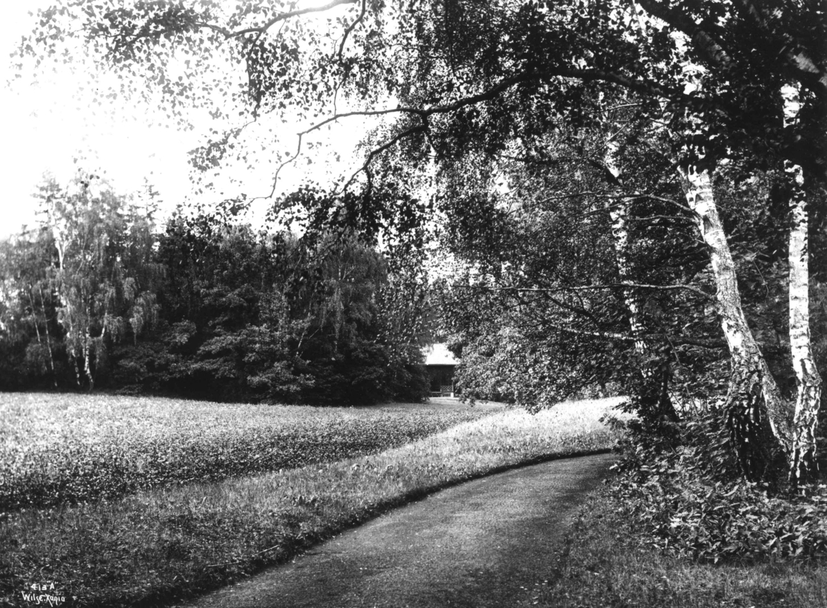 Skøyen hovedgård, Oslo 1903. Husmannstue og kløvermark.