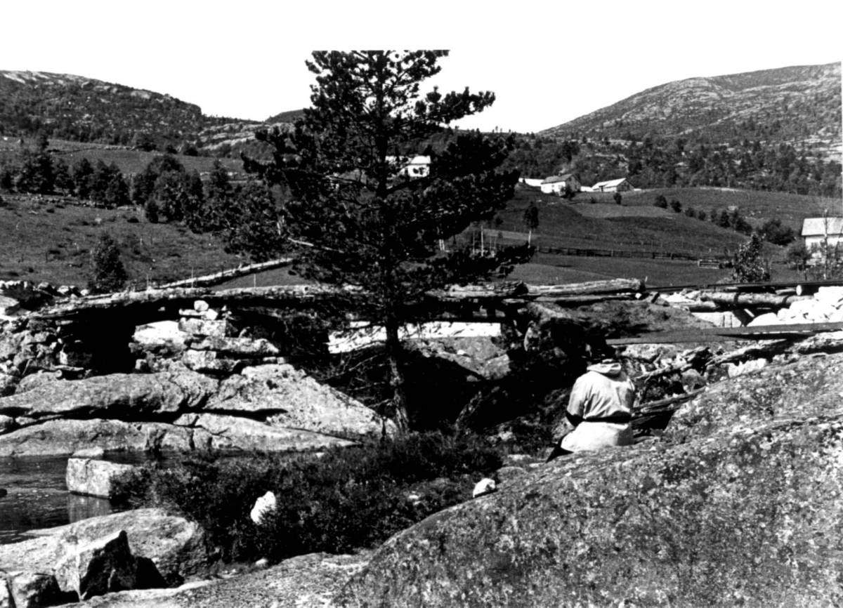 Landskap med bebyggelse nedenfor Seland, en person i forgrunnen. Kvinesdal 1941