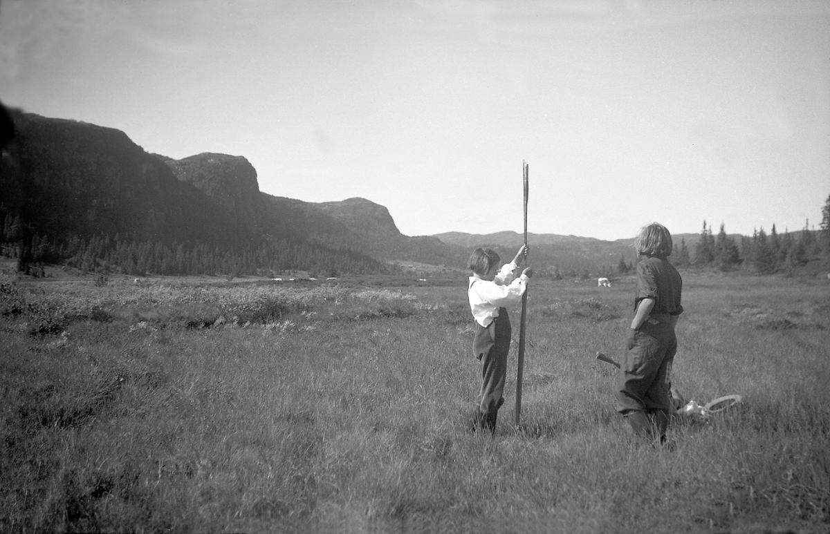 Kari Arentz og Veslemøy Neegaard setter pinne i jorda på Teigesetermyran, en ku beiter i bakgrunn. Fotografert 1947.