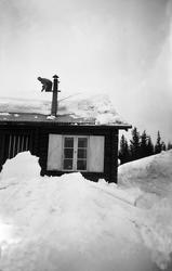 En mann måker snø av taket på hytta Ligardshaugen, Eggedal. 