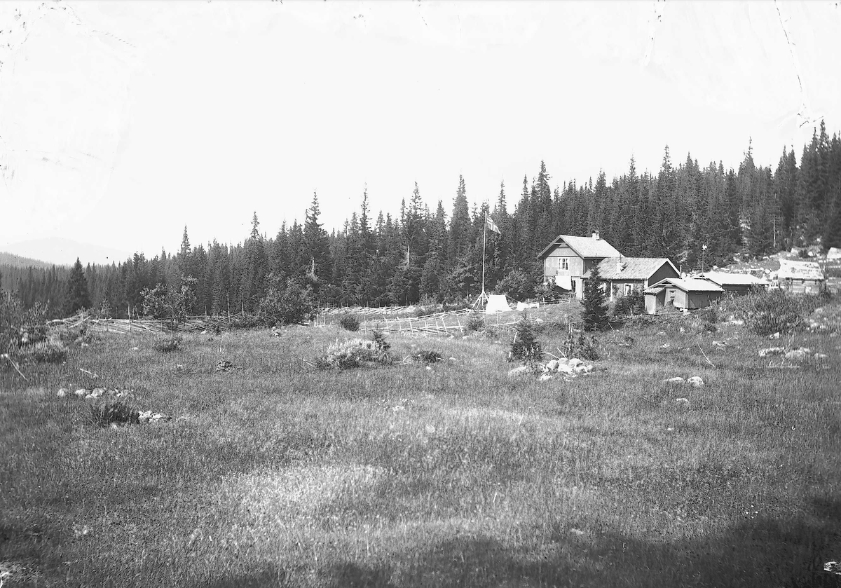 Hus på Holoa seter, Hadeland, Jevnaker, Oppland, 1903. Flagg og telt.