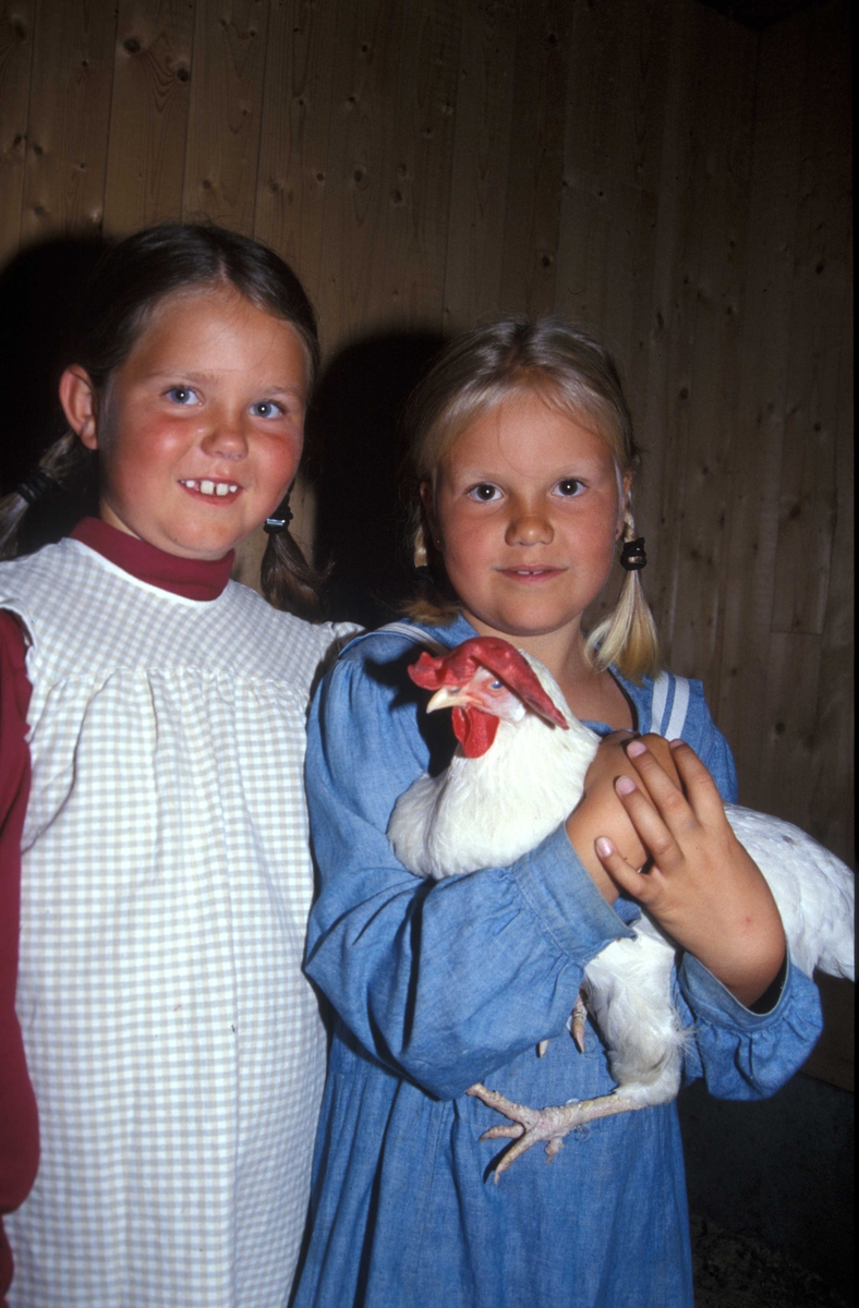 Barn i drakter i friluftsmuseet 2002.
På besøk i hønsegården.