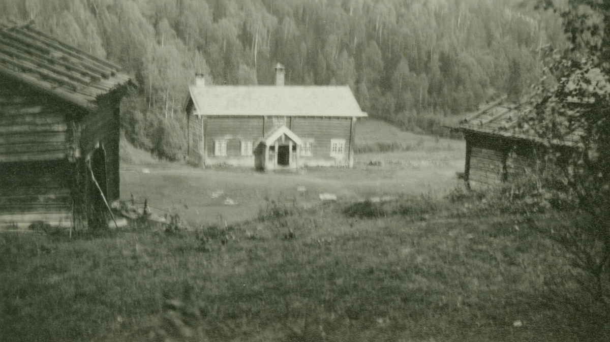 Gårdstun med våningshus, Natetstad, Veggli, Rollag,  Buskerud.
Fotografert 1929.