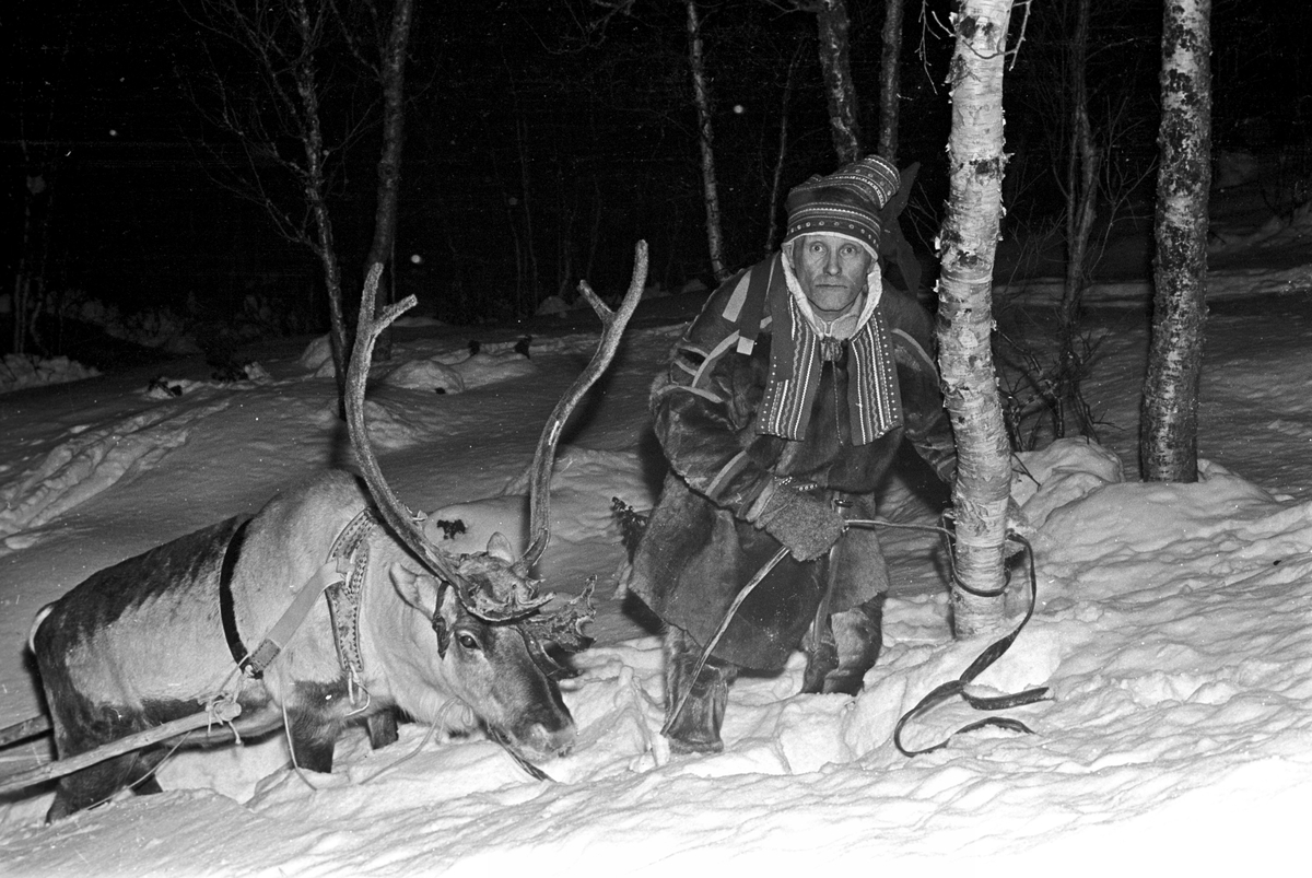 Serie. Vinteruke for turister på Geilo, med reinsdyrkjøring og skiinstruksjon. Fotografert februar 1965.