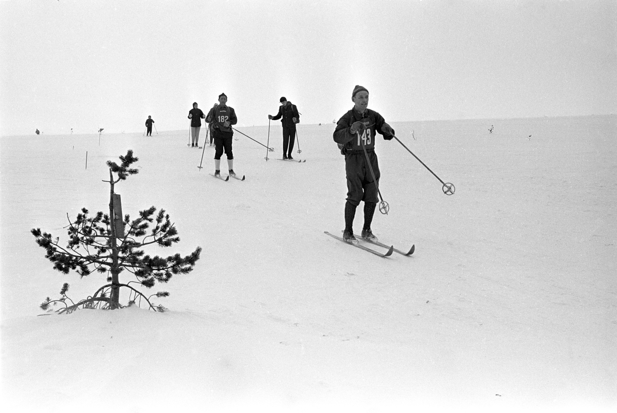 Deltakere med startnummer 143 og 182 i sporet. Publikum i bakgrunnen. Birkebeinerrennet fra Rena til Lillehammer 1963.