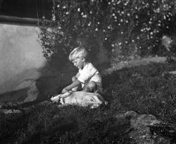 Liten gutt utendørs i hagen, klør liggende hund.