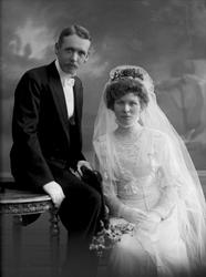 Gruppepotrett, brudepar. Brud i hvit kjole.