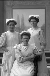 Gruppeportrett, tjenestefolk eller husmorskoleelever og lære