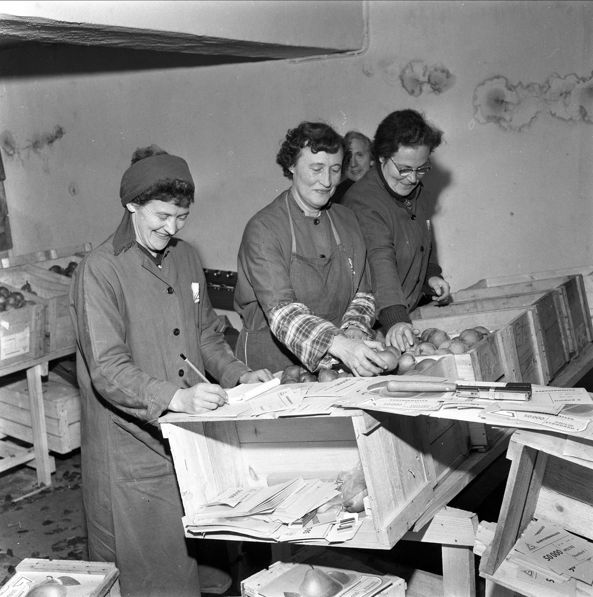 Gartnerhallen i Oslo, tre kvinner kontrollerer frukt og grønnsaker, Oslo, 10.11.1959.