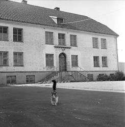 Berg arbeidsskole, Berg, Andebu, 08.06.1958. Hovedbygning.