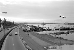 Veien langs Frognerkilen, Oslo, oktober 1963.