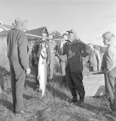 Holmen/Hellefoss, 21.06.1961, hus i bakgrunnen, to fiskere v