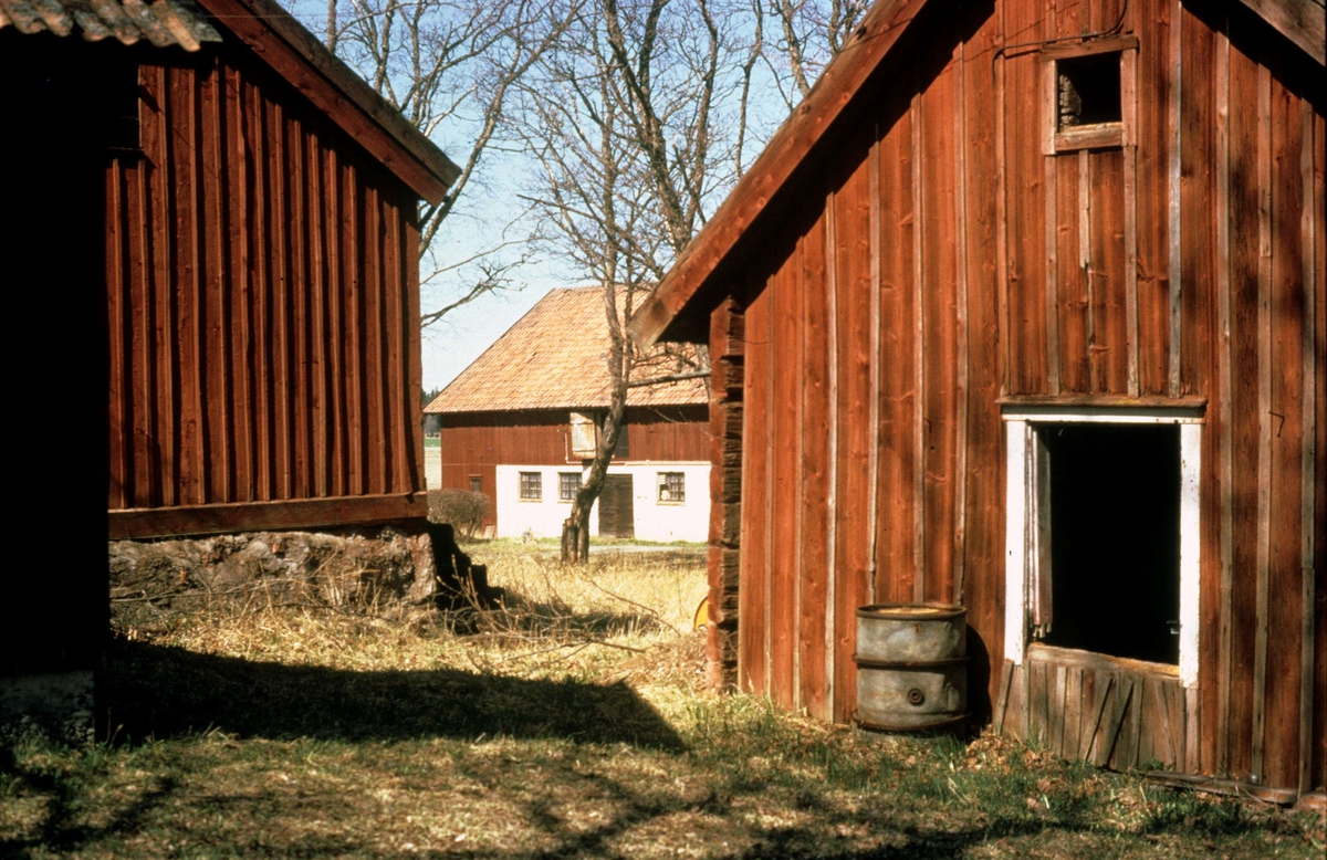 Bymiljö, Lejsta, Rasbo socken, Uppland  1975