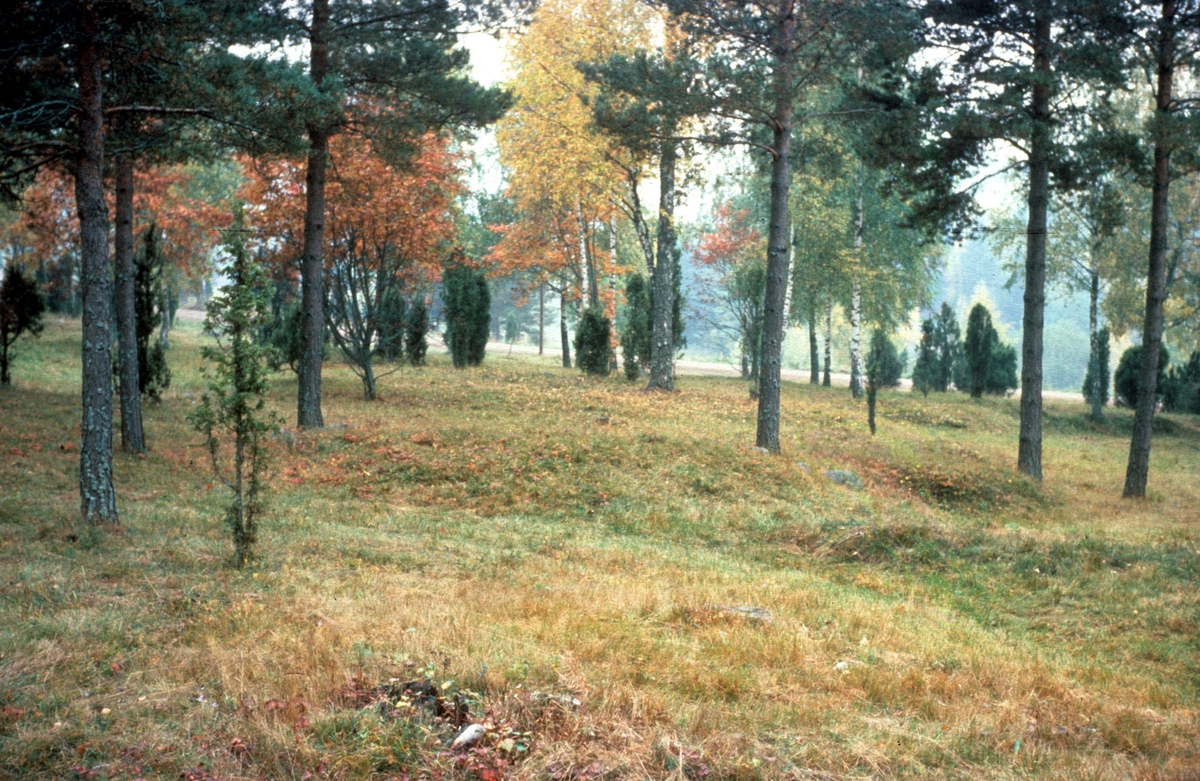 Malmbygravfältet, Närtuna socken, Uppland 1981