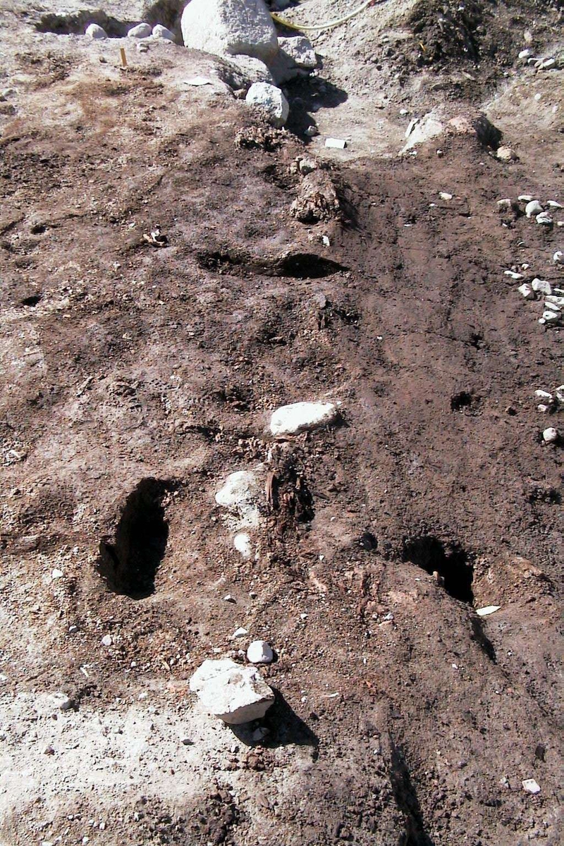 Undersökningsyta, arkeologisk undersökning i kvarteret Örtedalen,  Uppsala 1999